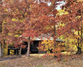 Smoky Mtn Memories-Free tickets- Sleeps 6